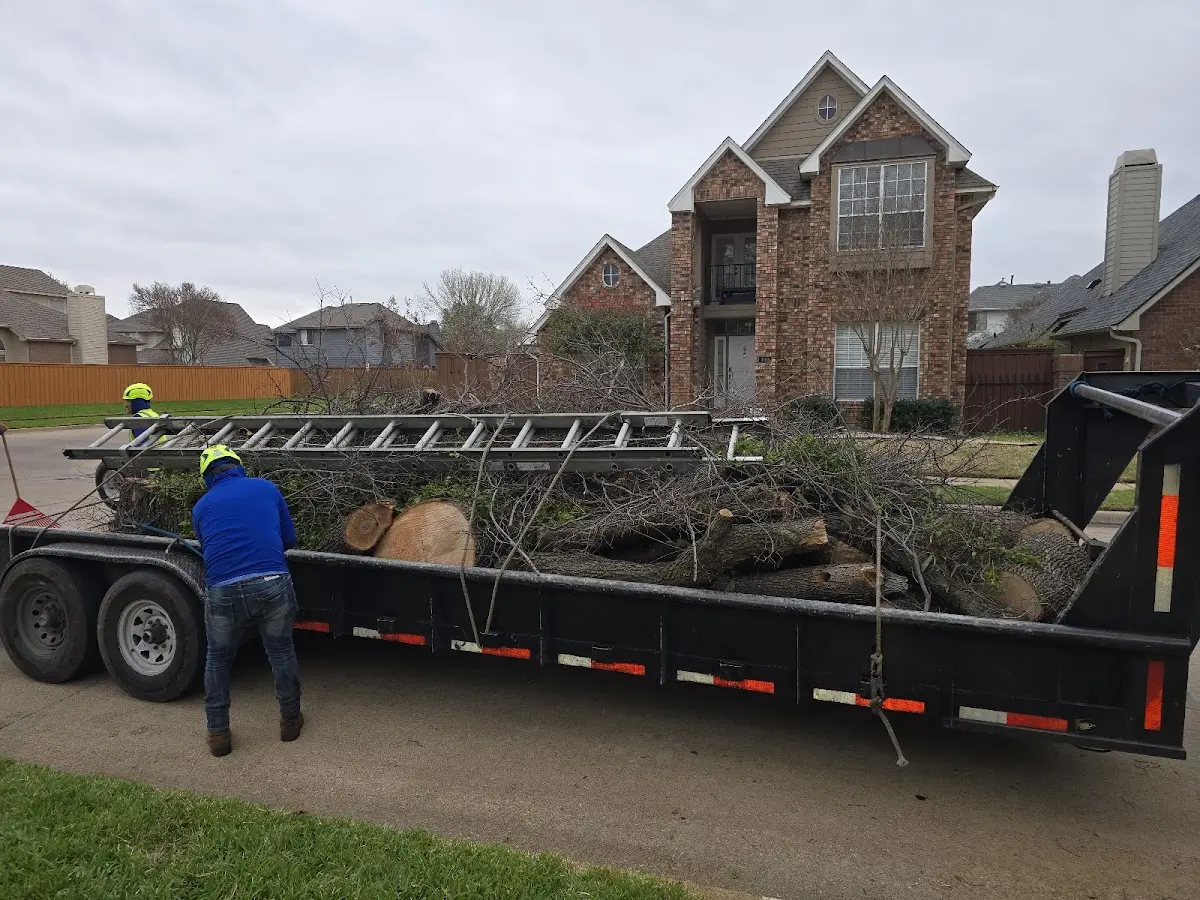 Expert Lot Clearing with proper safety equipment in Richmond